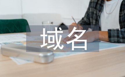互聯網域名搶注探討論文