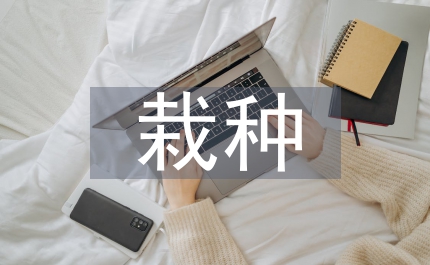 小議菜刀豆優質高產栽種技術
