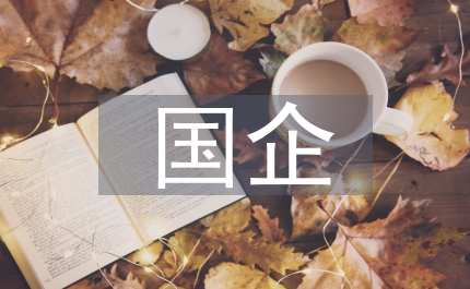 國(guó)企產(chǎn)權(quán)改革
