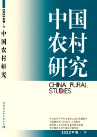 中國農村研究